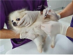 thumbimg