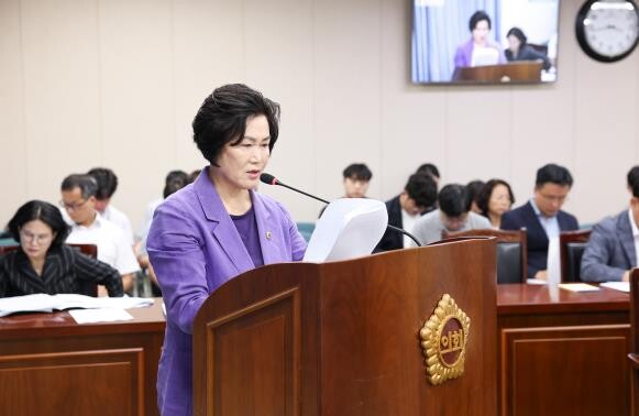 최미숙 전남도의원, ‘한류산업 진흥’...