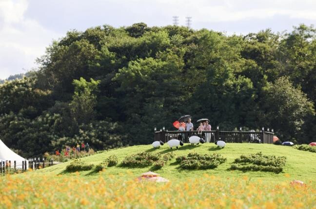[기획] 양주 나리농원, 천만송이 천...