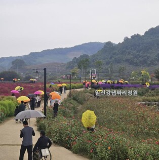연천군, '중면 임진강 댑싸리정원' 지역 관광명소로 우뚝