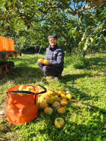 전남 과일, 대한민국 과일산업대전서 ...