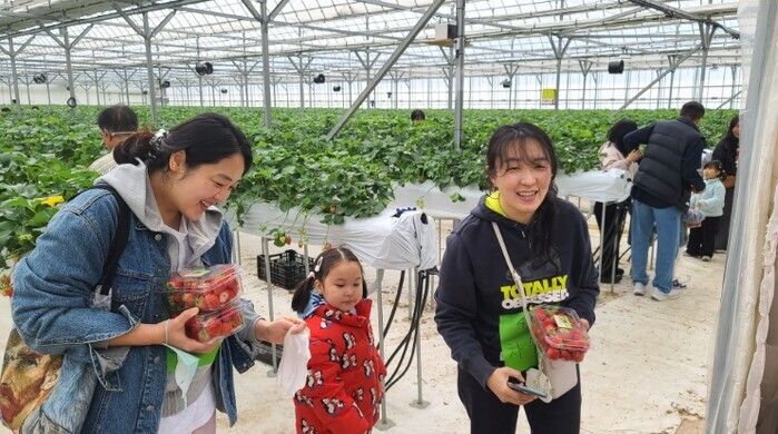 전남도, 1월 농촌체험휴양마을에 담양...