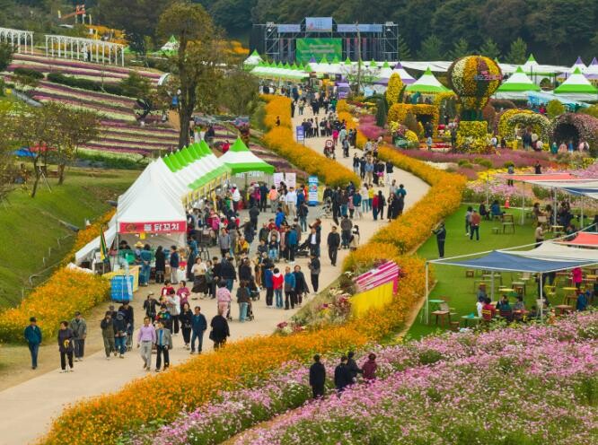 화순 고인돌 가을꽃 축제, '...
