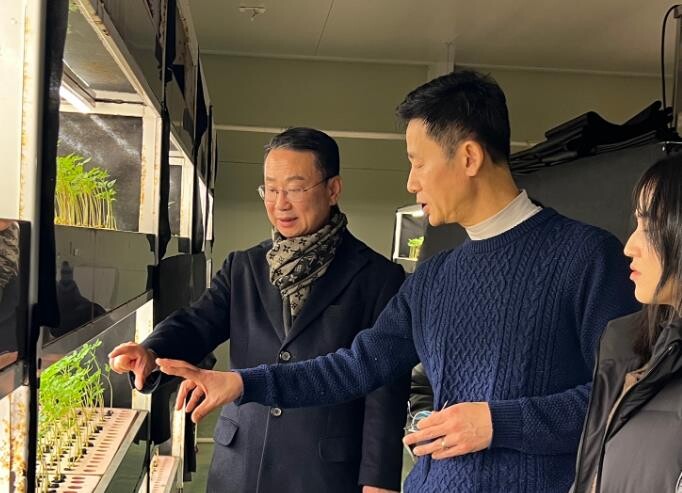 영광군에서 키운 ‘새싹인삼’ 일본 수...