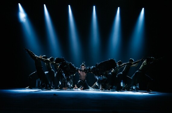 인천시립무용단 상임부안무자·출연단원 ...