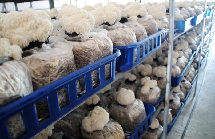 전남도, 2월 친환경농수산물에 여수 ...