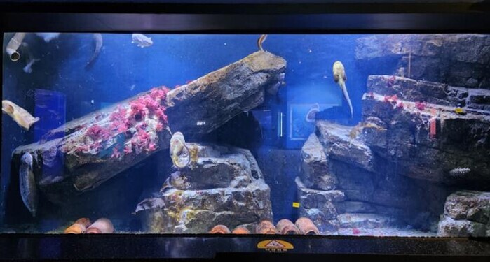 전남해양수산과학관·섬진강어류생태관, ...