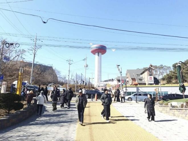예산군, 2026년 설 명절 예당관광...