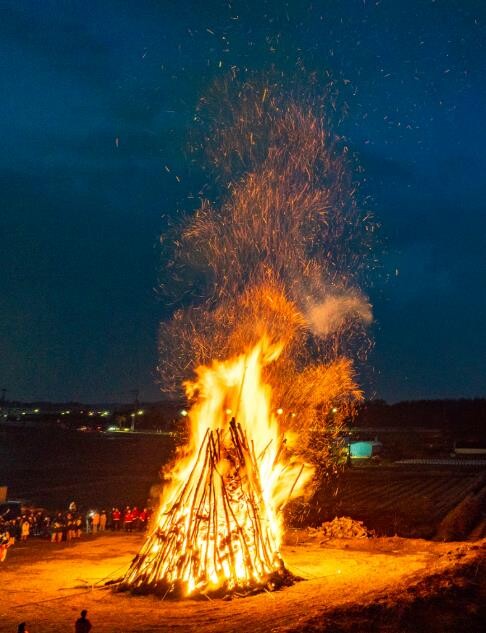 '2026 평택 달맞이 축제&...