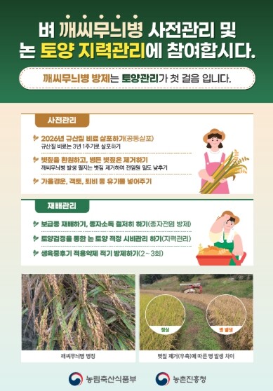 농촌진흥청, ‘땅심’ 낮은 논, 토양개량제 투입해 필수 성분 채워야