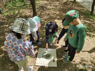 용인특례시, 4월부터 공원 생태체험 프로그램 진행