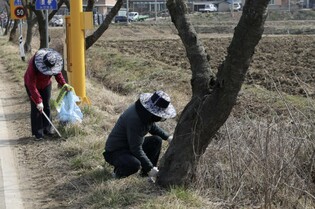 홍성군농촌지도자회, 환경 정화로 저탄소 실천