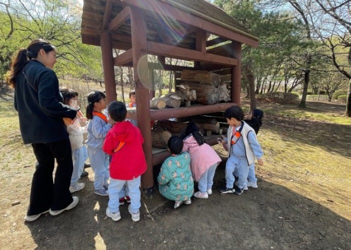 고양시, 유아숲 교육 프로그램 25개...