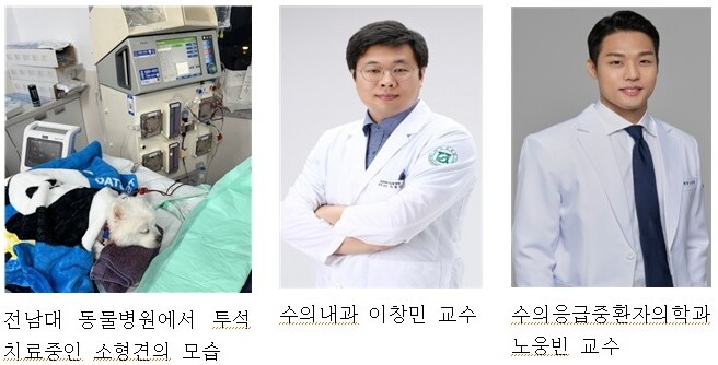 전남대 동물병원, 개소 1년 만에 혈...