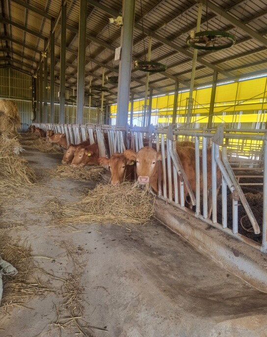 전남도, 축산농가 사료구매 융자금 1...