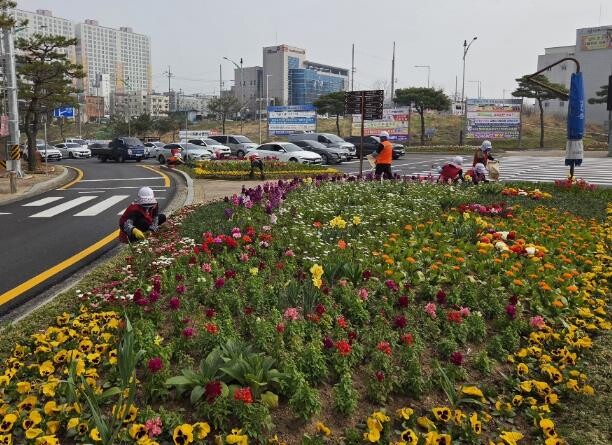 나주시, ‘나주방문의 해’ 맞아 봄꽃...
