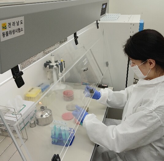 전남동물위생시험소, 봄나들이철 축산물...